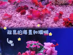 -蓬莱欧乐堡海洋极地世界