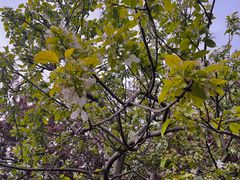 -元大都城垣遗址公园