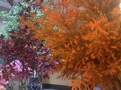 -向花仕Bloomy Life咖啡鲜花(益田假日店)