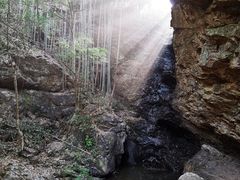 -大余丫山旅游度假区