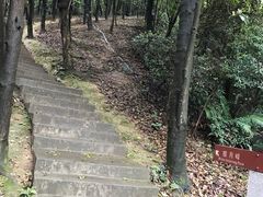-广州市帽峰山景区