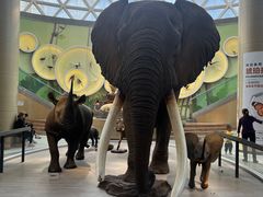 -陕西自然博物馆