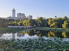 -长春市南湖公园