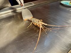 -上海虹桥祥源希尔顿酒店