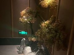 -大桶大足浴(广灵店)