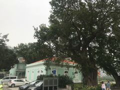 -嘉模泳池