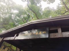 -马王堆汉墓遗址