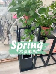 -痘博士昆明·国际祛痘领跑品牌