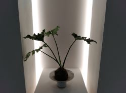 -颜蕾医美·黄金微针·水光·玻尿酸·超声炮·抗衰中心