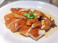 玫瑰豉油鸡-东海海鲜酒家(流花店)