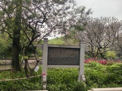 -晓港公园