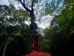 -燕子河大峡谷天坑仙境