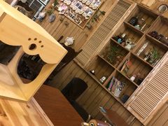 -猫色咖啡·猫咖