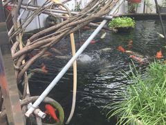 -寻味顺德·南记酒家·传统顺德菜·鱼生(广源路店)