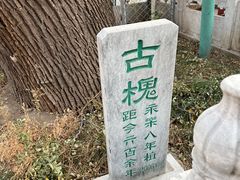 -大厂清真寺