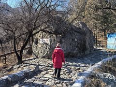 -阳台山自然风景区