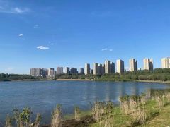 -丁香湖公园