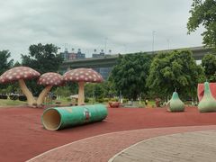 -琅岐红光湖公园