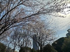 -玉山公园