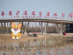 -西安浐灞国家湿地公园