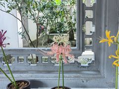 -杭州植物园