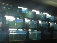 -王家渡火锅店(棕榈泉店)