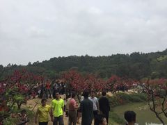 -南国桃园旅游度假区