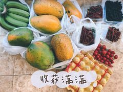 -光明小镇欢乐田园