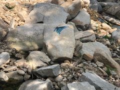 -黑龙潭风景区