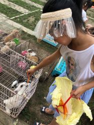 -前小桔亲子创意农场·草莓采摘·露营烧烤