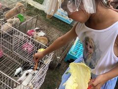 -前小桔亲子创意农场·草莓采摘·露营烧烤