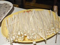 -龙凤禧毛肚火锅(阳光舜城店)