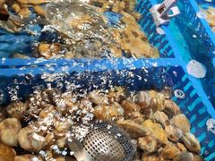-御品海宴海鲜自助餐厅(龙岗万科广场店)