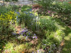 -上海共青森林公园