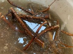 五指毛桃汤-思远客家菜馆(巴伐利亚店)