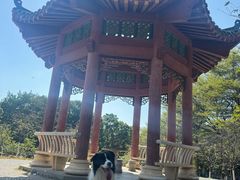 -华农酸奶(五山直营店)