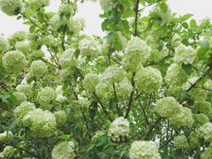 -杭州城北体育公园