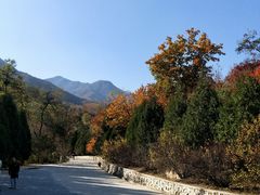 -北京鹫峰国家森林公园