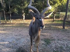 -清迈夜间动物园