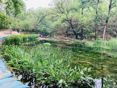 -白水寺森林公园