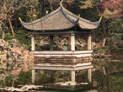 -叶家花园