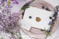 -花轿喜屋婚礼策划