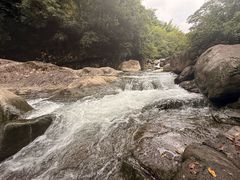 -安吉龙王山风景区