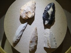 -上海自然博物馆