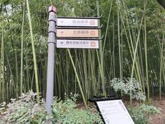 -兰亭风景区