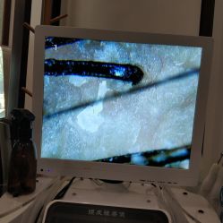-凌氏生发养发馆