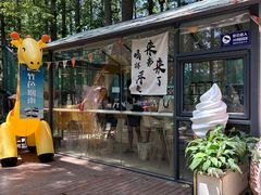 -日照海滨国家森林公园