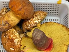 -云南木水花野生菌交易中心