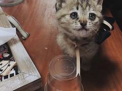 -Summer House夏莫手工坊团建活动(世博源店)