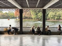 -荔湾湖公园
